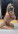 Снегурочка