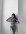 Vip diana