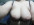 Зина