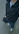 Dayar