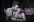 Джентльмен