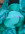 Жасмина